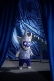 Blue Unicorn Boy