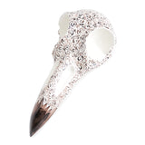 Raven Skull Black