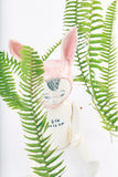 Pink Bunny