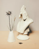 Rooster Bust