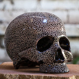 Skull Vermiculis