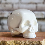 Skull Lizard Small
