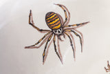 Skull Spiders