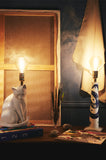 Lamp Cat