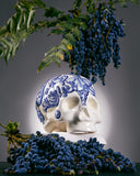 Skull Renaissace in Blue